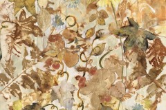 Susie Ranager