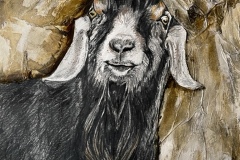 Vanda McCormick, "The Nubian"