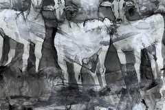 16.